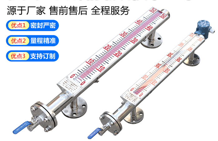 側(cè)裝式磁翻柱液位計(jì)